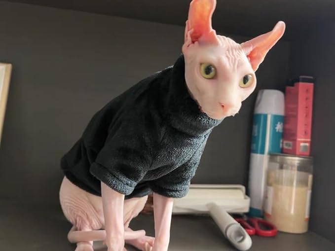 Sphynx Cat Clothes Winter Turtleneck Soft Coral Fleece Cat Clothes Thicken Warm Pajamas Coat for Hairless Cats and Small Cat Apparel with Sleeves (Black, XL (9.3-12.7lbs)