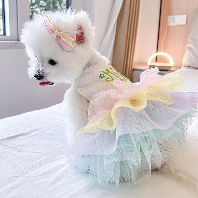 ANIAC Happy 1st Easter Dog Dress Girl Holiday Puppy Clothes for Small Dog Easter Cat Outfit Eggs Print Rainbow Doggy Princess Tutu Dress Pet Clothing (X-Large)