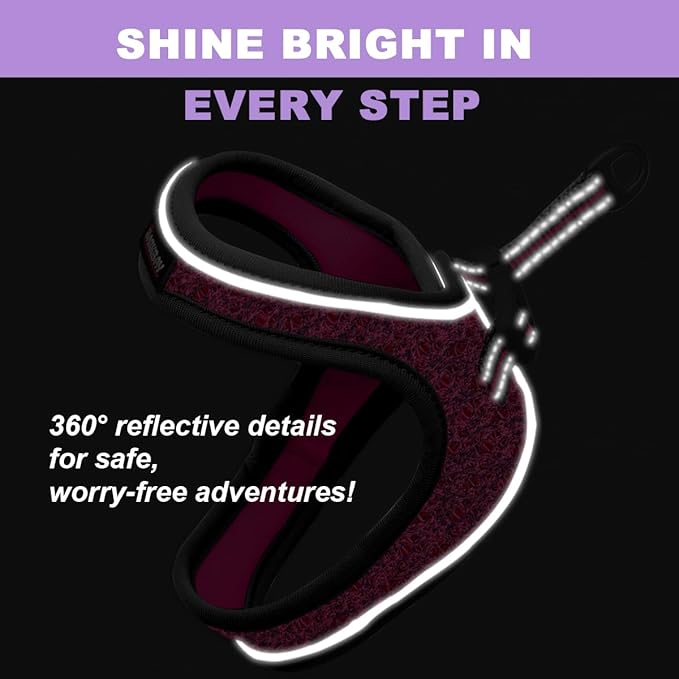 Cat Harness and Leash Set,Escape Proof Kitten Harness,Step in Adjustable Soft Lightweight,Easy Control,Reflective Strips Comfortable for Walking Travel(Pink/Black,M)