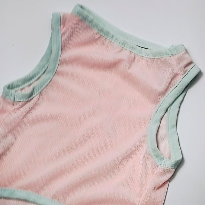 2Pcs Cooling Shirts for Small Dogs, Sleeveless Dog Vest, Lightweight Breathable Dog Summer Tank Top Sun Protection Shirts for Dogs Cats Pet Apparel (MintGreen Pink, X-Large Size for 12-16.5lb Pets)