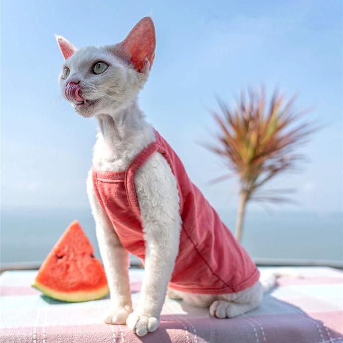 Hairless Cats Solid Cotton Camisole, Breathable Summer Tank Tops for Sphynx, Cornish Rex, Devon Rex, Peterbald, Cat Wear Hairless Cat Clothes Soft Skin-Friendly Cats Apparel Assorted Colors and Sizes
