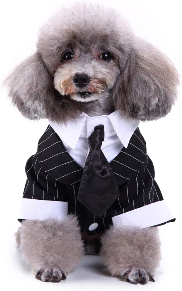 GabeFish Pets Wedding Jackets Suit for Dogs with Bow Tie Puppy Cat Formal Clothes Shirt Tuxedo (Striped, XL (Chest 18.8in/48cm)