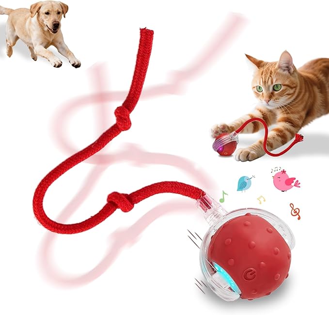 Interactive Cat Toys Smart Ball for Cats & Dogs! Now with 2 Rapid Tails. Features: 360°Auto-Rolling, Motion Activation& Bird Sounds. Perfect for Indoor Pet Exercise & Fun. (Red)