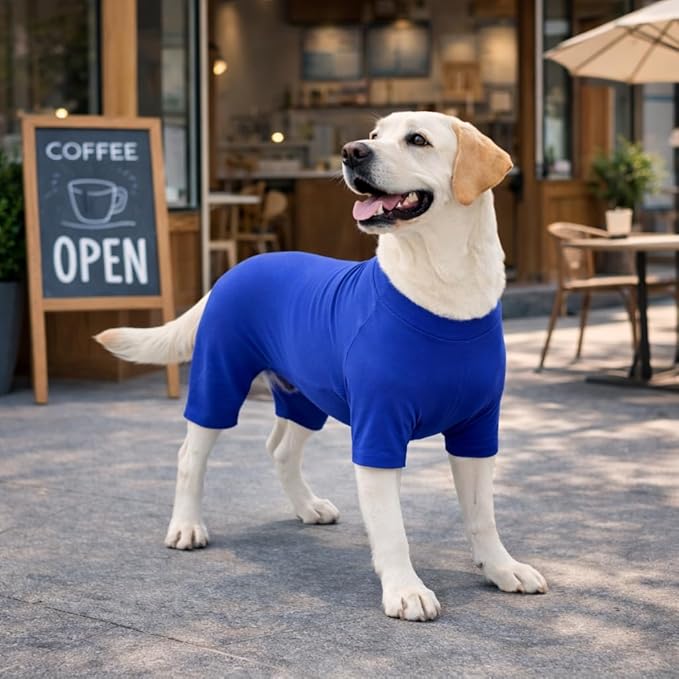 Lovelonglong Dog Full Bodysuit – Stretchy Yoga Fabric 4-Leg Dog Pajamas, Breathable & Lightweight Dog Onesie for Indoor & Outdoor, Shedding Control & Travel Wear