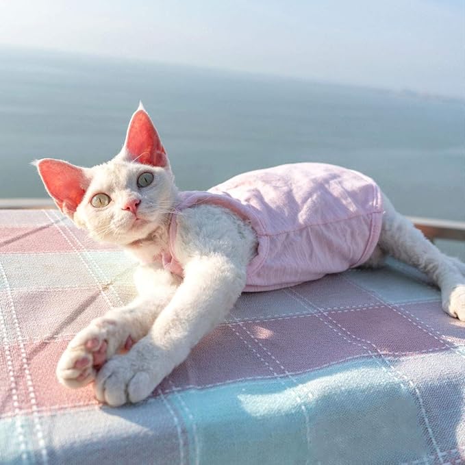 Hairless Cats Solid Cotton Camisole, Breathable Summer Tank Tops for Sphynx, Cornish Rex, Devon Rex, Peterbald, Cat Wear Hairless Cat Clothes Soft Skin-Friendly Cats Apparel Assorted Colors and Sizes