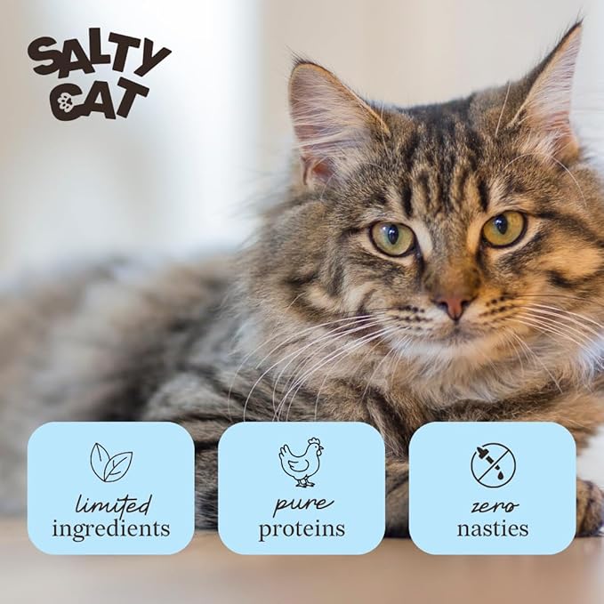 Salty Cat Natural Freeze-Dried Chicken Cat Treats, 10g Bag (12 Packs)