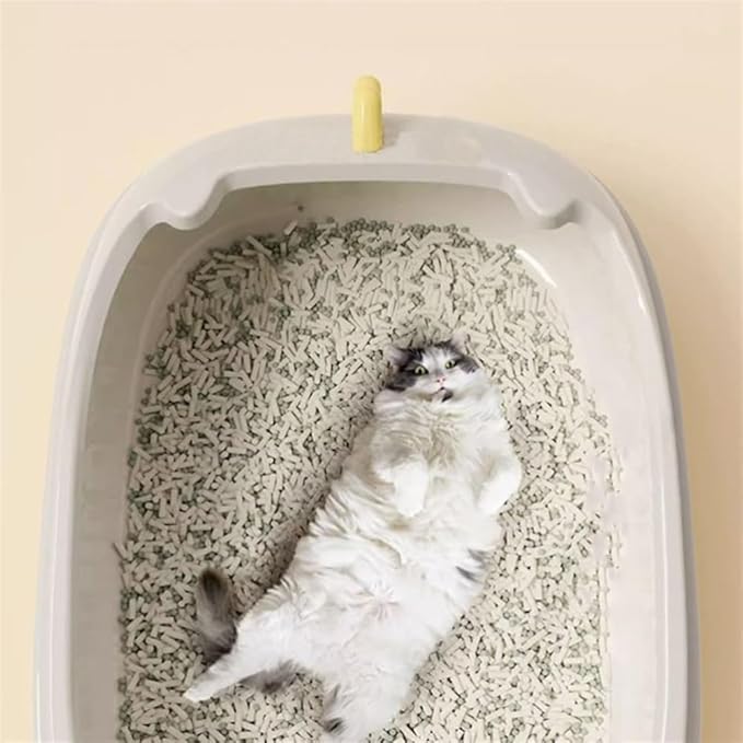 Pet Supplies, Durable Open Cat Litter Box with Scoop,Anti Splash Pet Tray(Blue)
