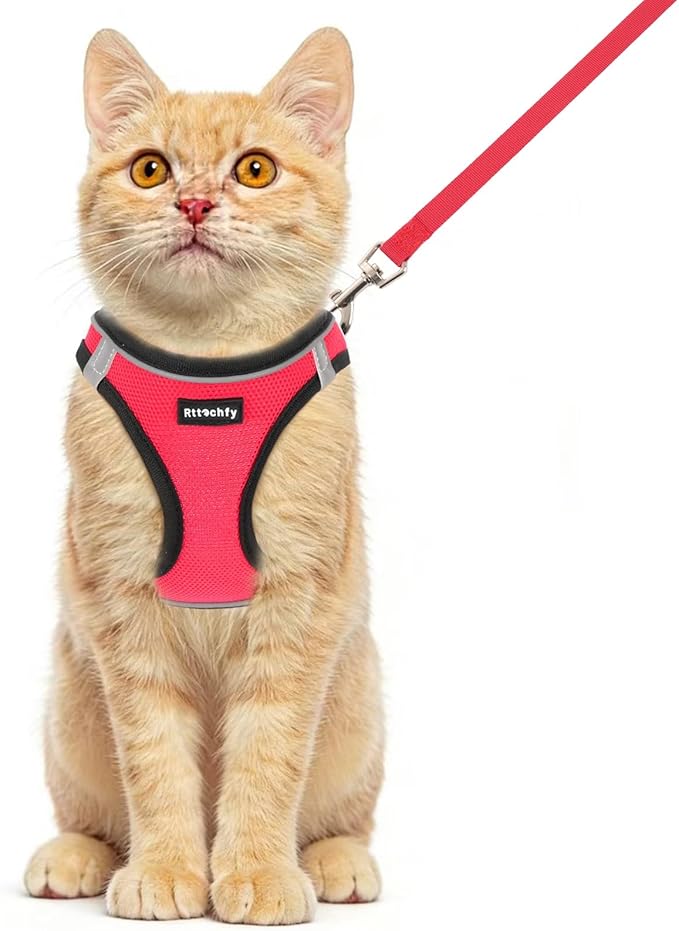 Rttochfy Cat Harness and Leash Set, Escape Proof Kitten Harness, Soft and Breathable Vest with Reflective Strip, Easy to Wear for Cats Walking and Traveling (BK Red, L)