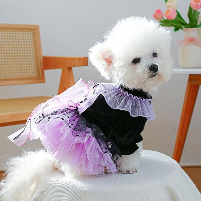 Dog and Cat Butterfly Princess Lace Tutu Dress, Dog Girl Set, Kitten Chihuahua York Pomeranian Pet Clothing (Purple-Bow, X-Small)