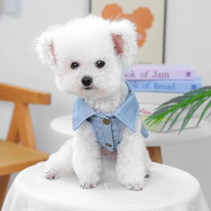 Dog Denim Vest Harness with D-Ring, Jean Jacket for Small Dogs & Puppies, Adjustable Pet Clothes for Chihuahua Yorkie Poodle, “Wild & Free” Embroidered Outfit(XS)