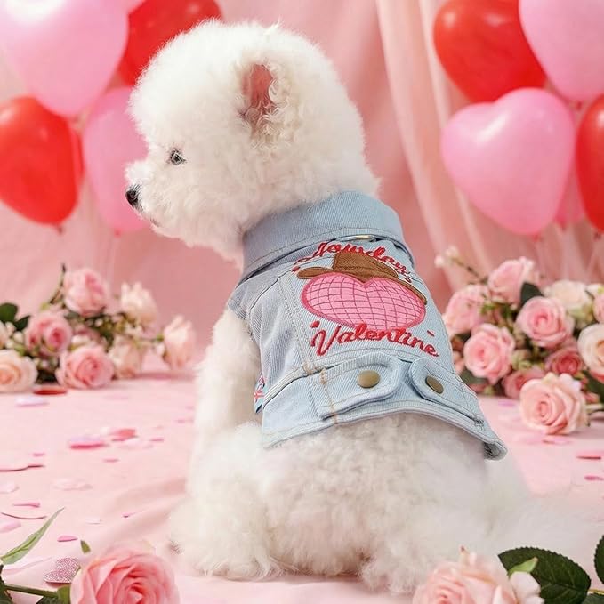 Valentine Denim Dog Jacket for Small Dogs Cats, Cute Cowboy Heart Embroidered Pet Vest with D-Ring for Leash, Lightweight Puppy Outfit for Daily Wear & Holidays(S)