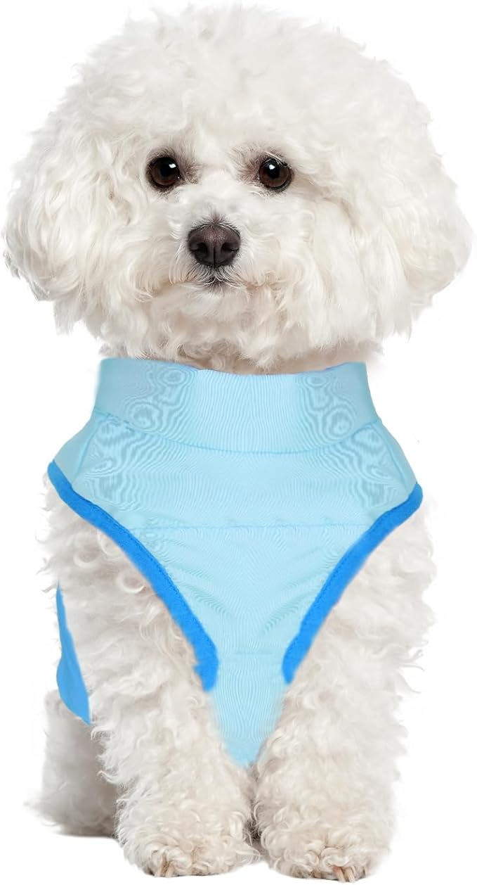 Winter Dog Coat with Leash Ring, Warm Jackets Puppy Cold Weather Coats Pet Clothes Cat Outfits for Small Dogs (Blue+Dark Blue, X-Large)