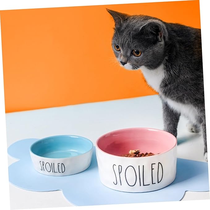 LIOOBO Ceramic Pet Bowl with High Base Small Pink Color Neck Protection Feeder for Cats and Small Pets for Feeding and Watering