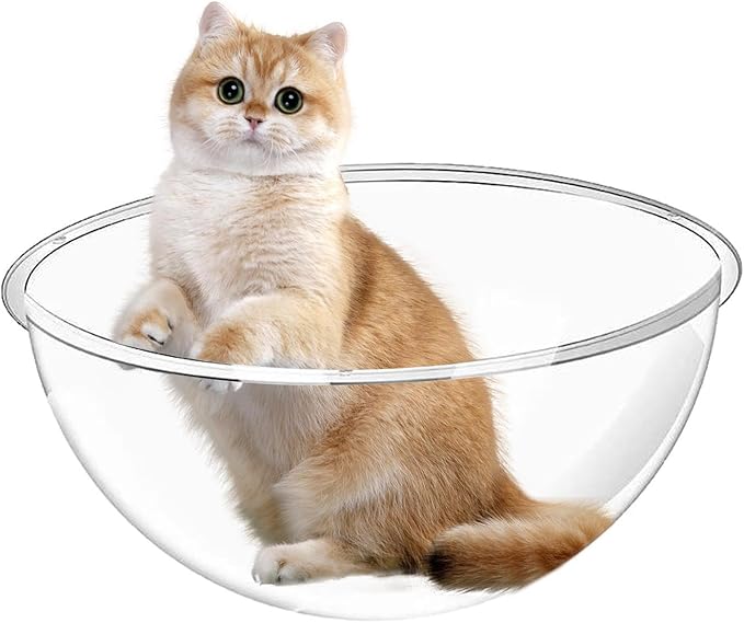 Small Space Cat Furniture - Transparent House, Space Capsule Bed, Anti-Scratch Pet Nest, Window Perch, Bowl Bed for Pets