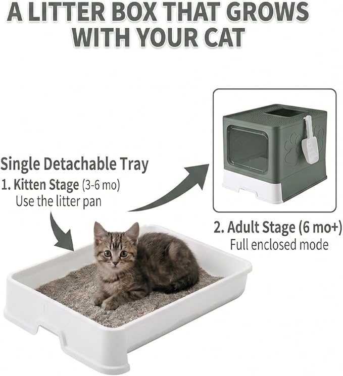 Medario Cat Litter Box with X-Large Litter Mat and Scoop, Large Covered Litter Box with Lid, Enclosed Kitty Box,Front Top Entry Exit, Odor Control Easy to Clean (Upgrade Olive Green)