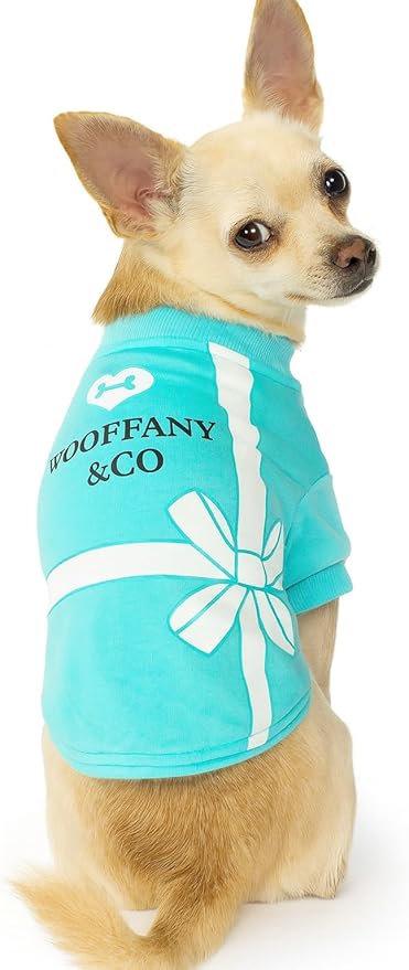 Luxury Designer Dog T Shirt – Cute Puppy Clothes for Small Dogs, Fashion Pet Tee Outfit for French Bulldogs & Chihuahuas, Everything Chic Dog Apparel