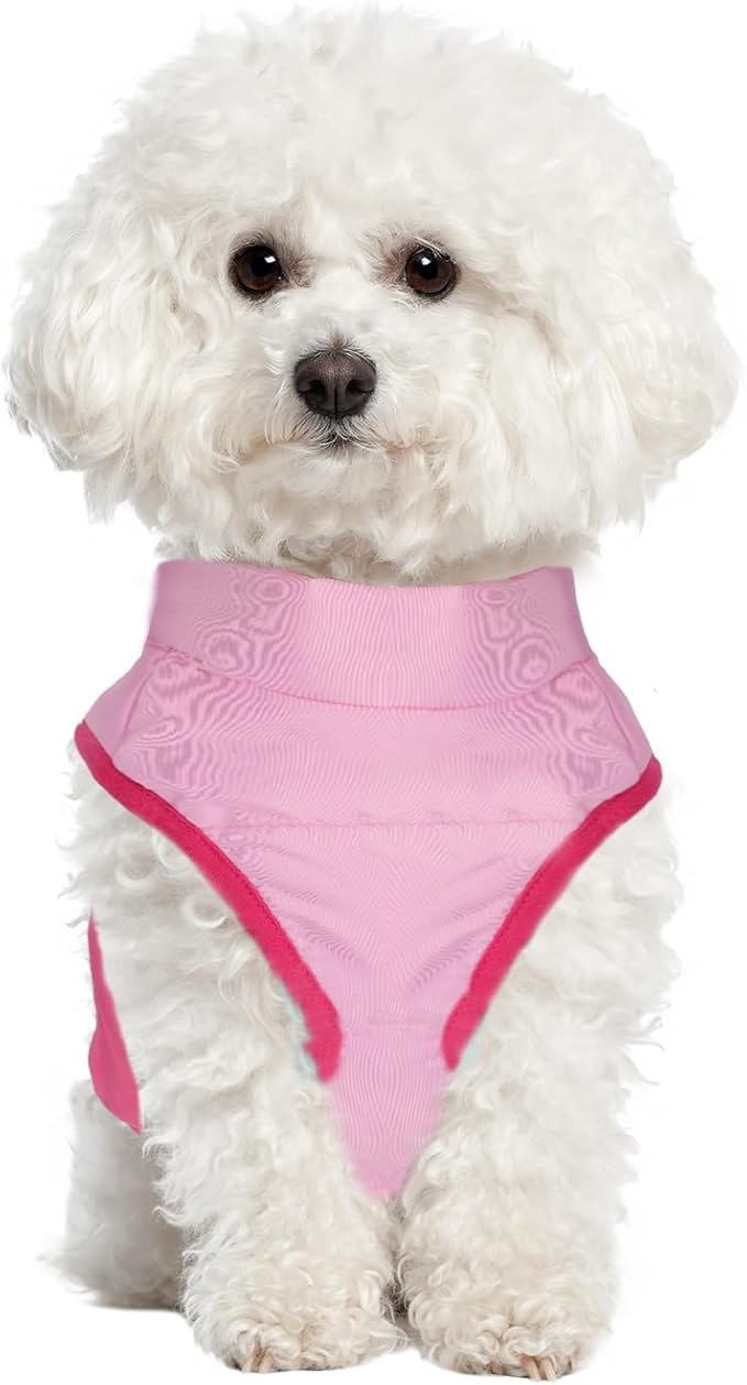 Winter Dog Coat with Leash Ring, Warm Jackets Puppy Cold Weather Coats Pet Clothes Cat Outfits for Small Dogs (Pink+Rosered, X-Large)