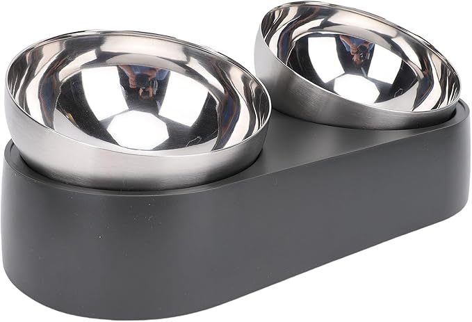 Focket Elevated Cat Bowls, Tilted Anti Vomiting Raised Cat Food and Water Bowls with Stainless Steel for Small Cats Puppies