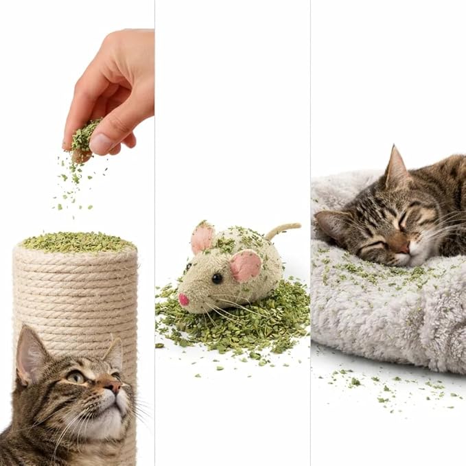Organic Catnip for Cats USDA Certified Dried Herb Made in USA - 1 oz Pouch Premium Natural Cat Treats Strong Fresh Loose Leaf Catnip Herbs Resealable Bag Best Single Ingredient Cat Nip Buds Bulk