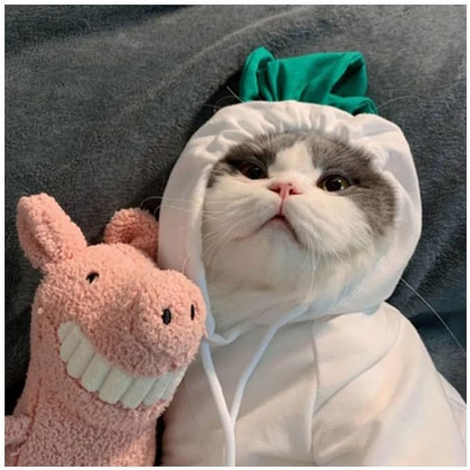 Pet Clothing Dog Transformation Frog Hoodie Autumn and Winter Warm Small Large Dog Method Dou Cat Bullfighting Clothes (White Radish,XS)