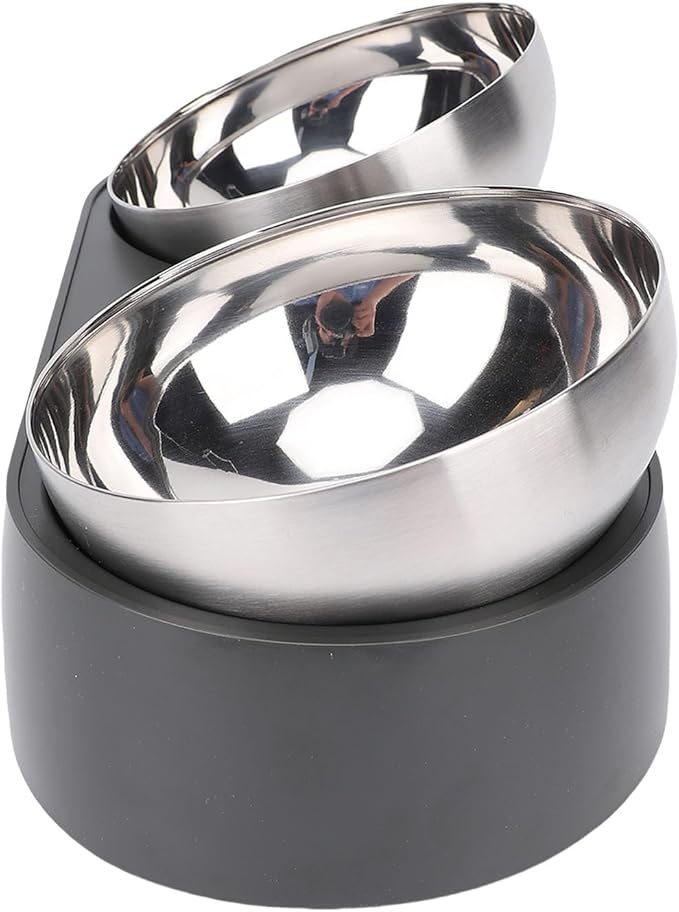 Focket Elevated Cat Bowls, Tilted Anti Vomiting Raised Cat Food and Water Bowls with Stainless Steel for Small Cats Puppies