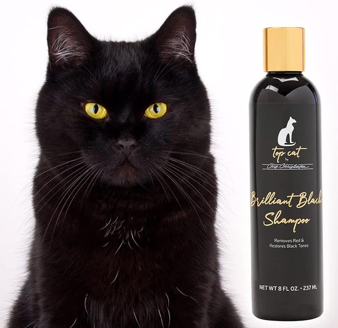 Chris Christensen Top Cat Brilliant Black Shampoo for Cats, Groom Like a Professional, Removes Red, Restores Black Tones, Made in USA, 8 oz