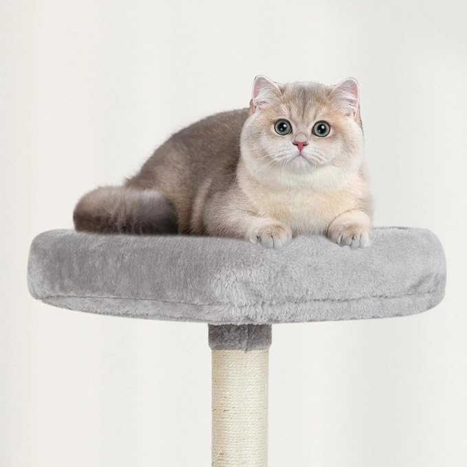 Grey Cute Cat Tree for Indoor Cat Tower with Scratching Post Modern Activity House Hammock Hanging Ball Condo with Board