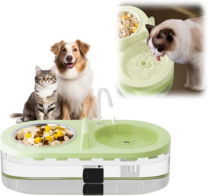 Cat Fountain Water Bowl Stainless Steel, 2 in 1 Automatic cat Feeder for Pets Dogs, Puppies, Kittens (Green, S)