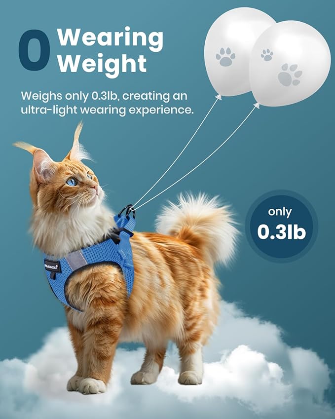 FAYOGOO Cat Harness, Cat Leash and Harness Set for Walking Escape Proof, Harness for Small Cats/Small Dogs, Large Kitten/Puppy Harness and Leash, Harness for Cats S-XXL(Tranquil Teal, Large)