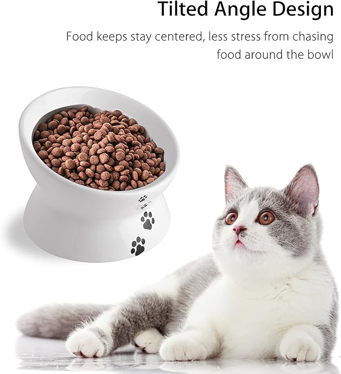 Cat Food Bowls, 10 OZ Elevated Cat Bowls for Cats and Small Dogs, Tilted Pet Feeder Bowl with Raised Stand Protect Cat's Spine, Ceramic Cat Water Bowl No-Spill, Stress Free Cat Dish 2pcs