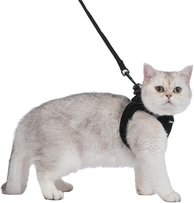 Voyager Step-in Pet Harness - All Weather Mesh, Adjustable Step in Harness for Cats and Dogs by Best Pet Supplies - 307S Black, S