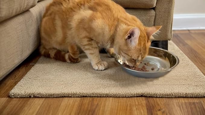 24 PCS Thickened Stainless Steel Cat Bowls, 5.5 Inch Shallow Wide Flat Metal Kitten Food Bowls, Whisker Friendly Fatigue Relief Replacement Basic Pet Dishes for Indoor Cats