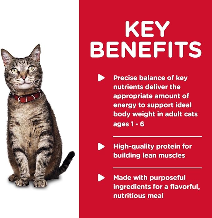 Hill's Science Diet Adult 1-6 Wet Cat Food, Turkey & Liver, 5.5 oz. Cans, 24-Pack