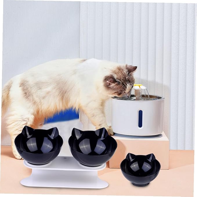 Double Plastic Cat Bowl with Raised Slanted Design, Black Dual Pet Feeding and Watering Bowl, Anti-Spill Tilted Food and Water Dish for Cats and Dogs