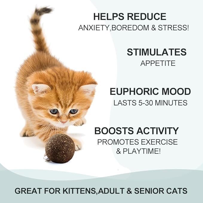 Natural Catnip Toys for Indoor Cats Interactive Cat Nip Balls, 5Pcs, 2 Catnip, 2 Silvervine, and 1 Gall Fruit Ball
