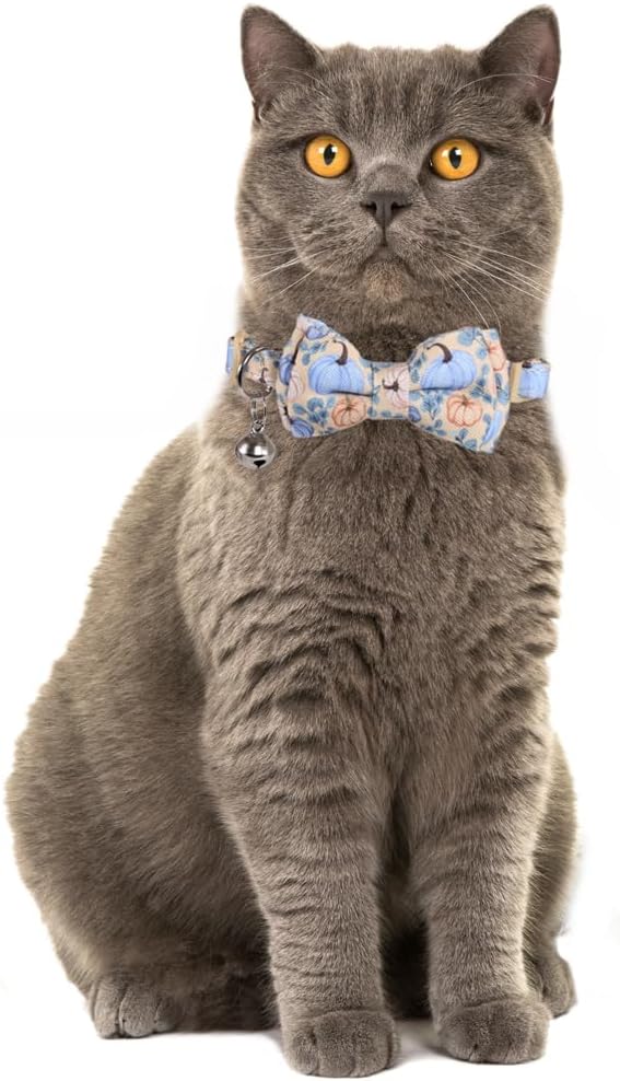 Fall Cat Collar Thanksgiving Day Breakaway with Bow Tie and Bell Autumn Holiday for Kitty Adjustable Safety