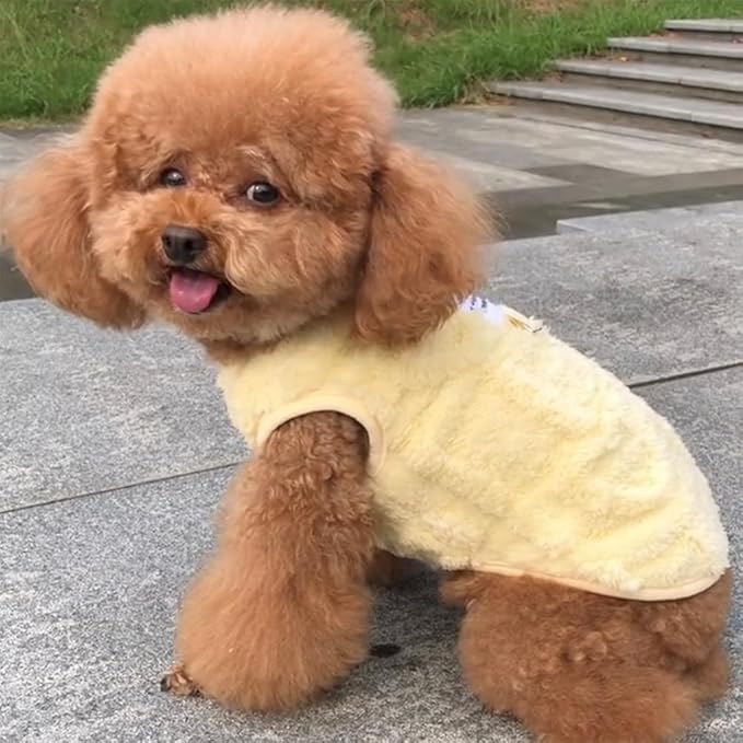 2 Pack Small Dog Sweater Fleece Cat Outfit with D-Ring Fall Puppy Clothes for Girl Boy Cold Weather Dog Coat Winter Pet Clothing for Cats Chihuahua Yorkie Teacup (Yellow Green, Small)