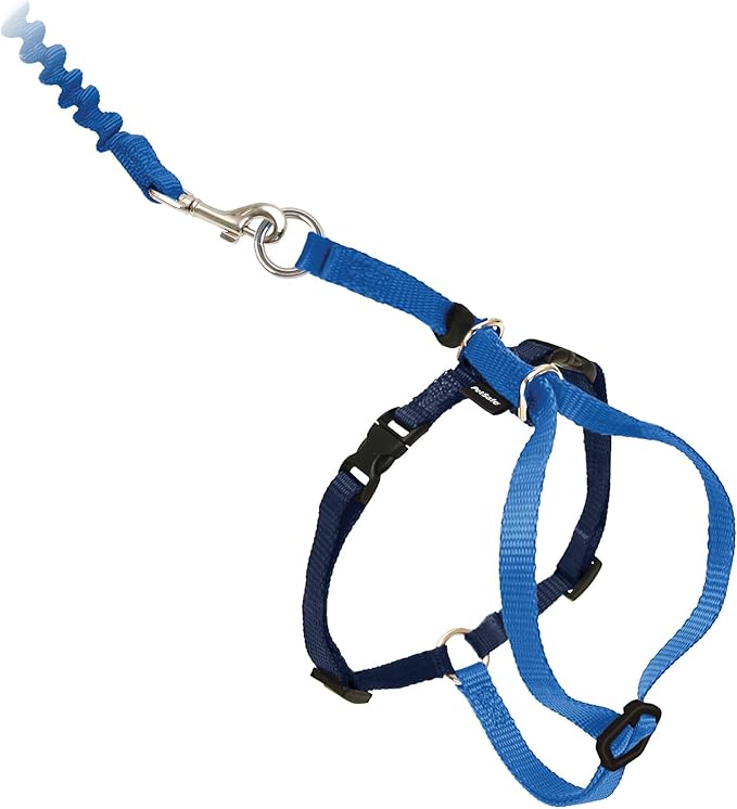 PetSafe Come with Me Kitty Harness and Bungee Leash Adjustable, Lightweight Harness for Cats Large, Royal Blue