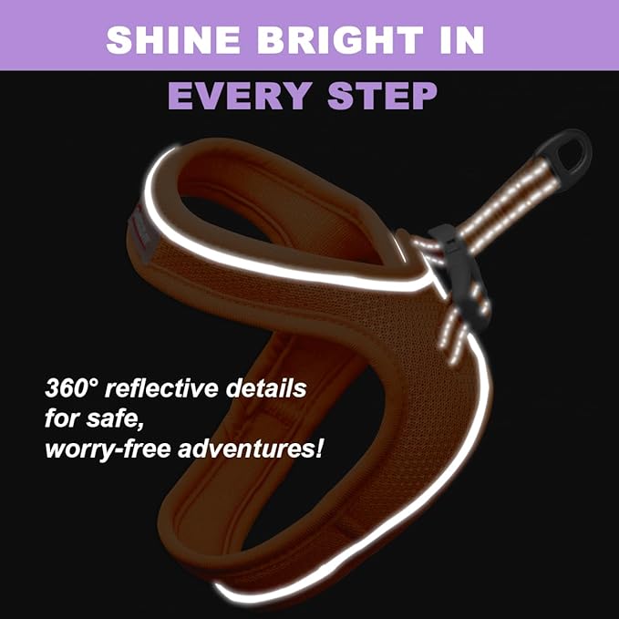 Cat Harness and Leash Set,Escape Proof Kitten Harness,Step in Adjustable Soft Lightweight,Easy Control,Reflective Strips Comfortable for Walking Travel(Orange,XS)