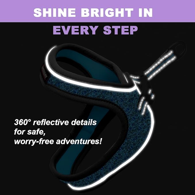 Cat Harness and Leash Set,Escape Proof Kitten Harness,Step in Adjustable Soft Lightweight,Easy Control,Reflective Strips Comfortable for Walking Travel(Blue/Black,XXXS)