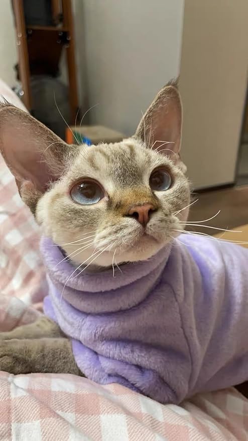 Sphynx Cat Clothes Winter Turtleneck Soft Coral Fleece Cat Clothes Thicken Warm Pajamas Coat for Hairless Cats and Small Cat Apparel with Sleeves (Taro Purple, M（3.8-6lbs）)