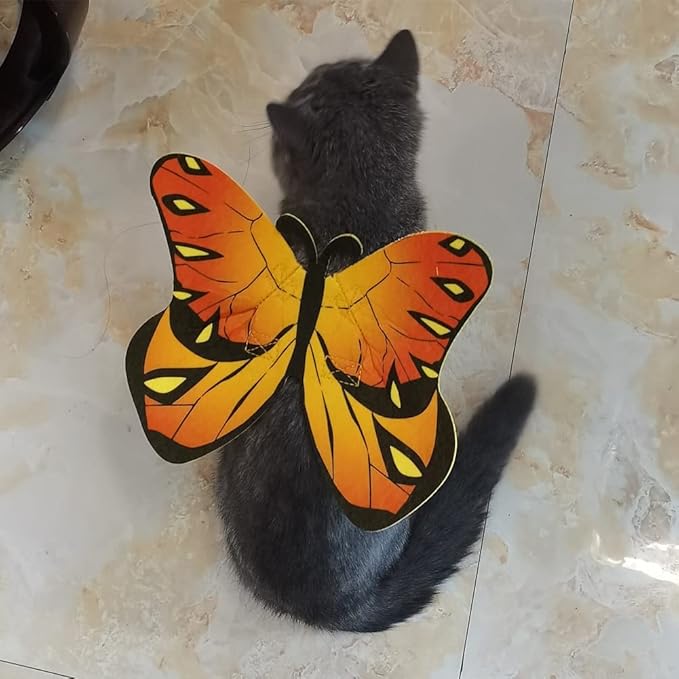 Pet Cat Bat Wings for Halloween Party Decoration, Puppy Collar Leads Cosplay Bat Costume,Cute Puppy Cat Dress Up Accessories