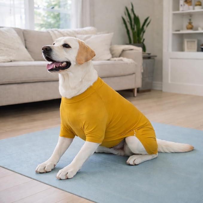 Lovelonglong Dog Full Bodysuit – Stretchy Yoga Fabric 4-Leg Dog Pajamas, Breathable & Lightweight Dog Onesie for Indoor & Outdoor, Shedding Control & Travel Wear