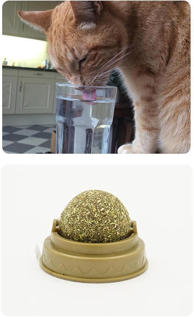 Snacks Catnip Ball Treats Solid