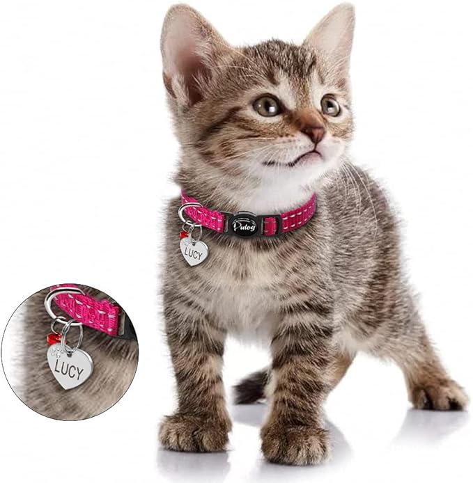Quick Release Cat Collar Reflective Cat Collars Personalized Puppy Collars for Small Dog Cats Kitten Doggy Rose XXS