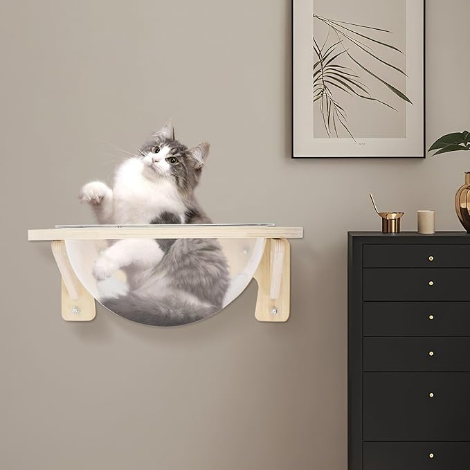 Wall Mounted Cat Bed, Clear Space Capsule for Indoor Cats - 16.5 lbs Capacity Semi-Enclosed Perch for Anxious Cats, Space-Saving Modern Cat Furniture for Apartments
