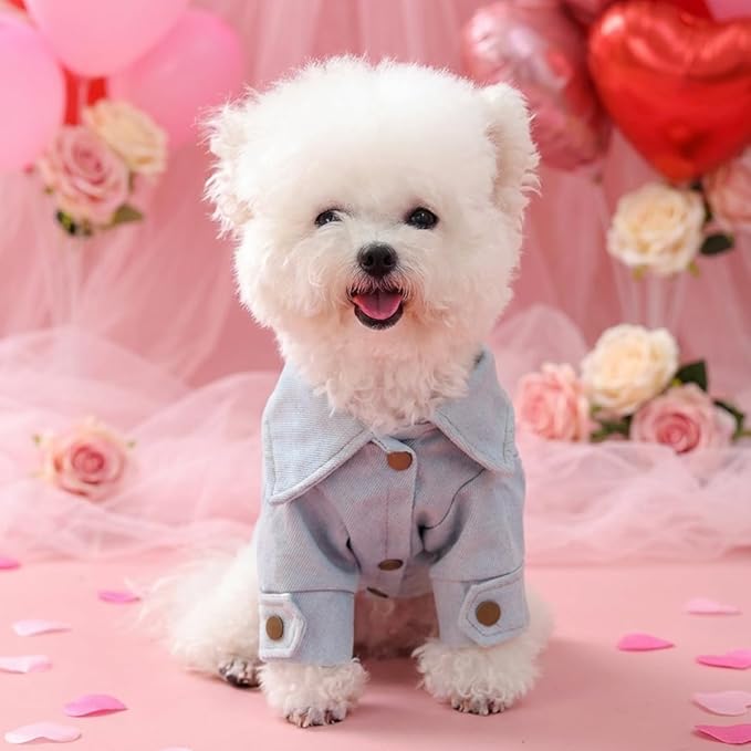 Denim Dog Jacket for Small Dogs & Cats, “Daddy’s Princess” Embroidered Pet Coat with Pearls & Bow, Light Blue Jean Outfit with D-Ring, Cute Apparel for Walks, Photos, Parties & Holidays(L)