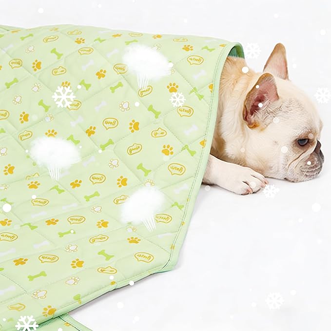 DELIFUR Pet Cooling Blanke, 23.6x35.4 in Ice Silk Cooling Mat for Dogs & Cats, Portable & Washable Pet Cooling Blanket, Easy Carry Mats for Crates, Beds, Sofas, Cars, Summer Use (Green)