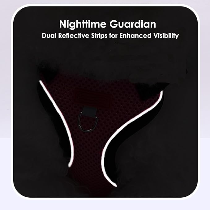Cat Harness and Leash Set for Walking – Escape-Proof Reflective Vest for Cats and Small Dogs, Adjustable Soft Air Mesh with Pressure-Reducing Design, 4.92ft (Blue & Purple, M)