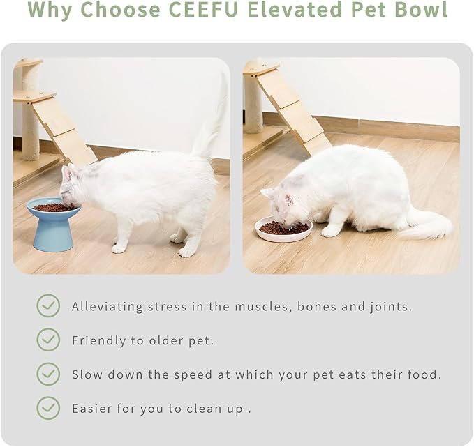 CEEFU Extra Wide Elevated Ceramic Cat Bowl, 6.2" Shallow Dish for Whisker Fatigue Relief, 5" Height for Easy Feeding, Durable Raised Cat Food Bowls, Pack of 2, Blue